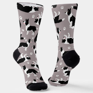 Border Collie and Paw Print Socks