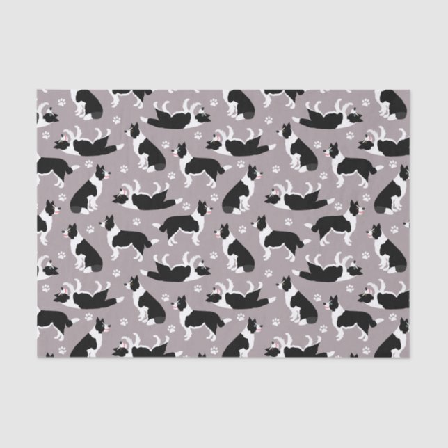 Border Collie and Paw Print Tissue Paper (Front)