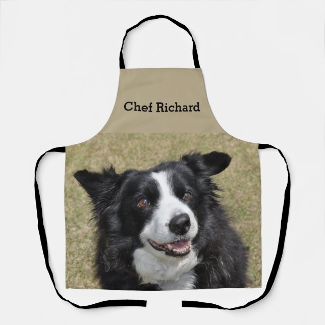 Border collie apron (Front)