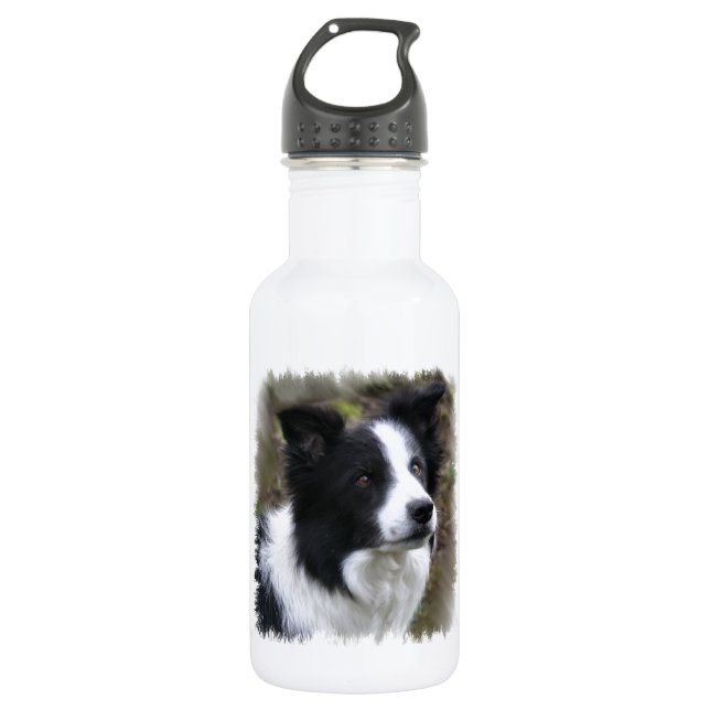 Border Collie Art 532 Ml Water Bottle (Front)