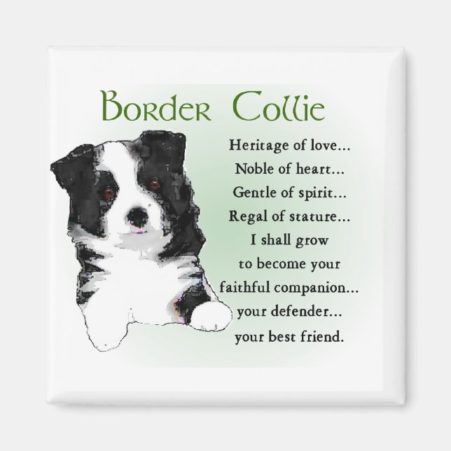 Border Collie Art Gifts Magnet (Front)