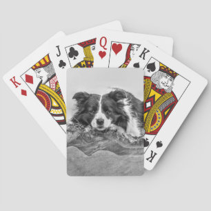 Border Collie Art Playing Cards