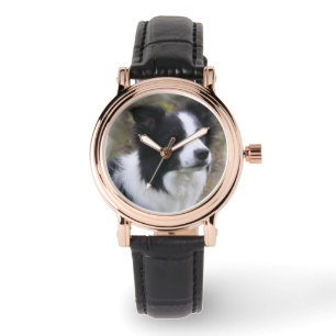 Border Collie Art Watch