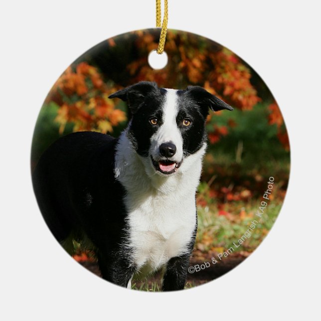 Border Collie Autumn Standing Ceramic Tree Decoration (Front)