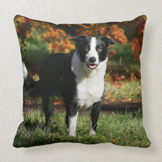 Border Collie Autumn Standing Cushion