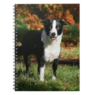 Border Collie Autumn Standing Spiral Notebook