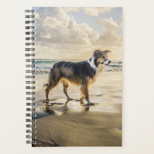 Border Collie Beach Fun   Dog Planner