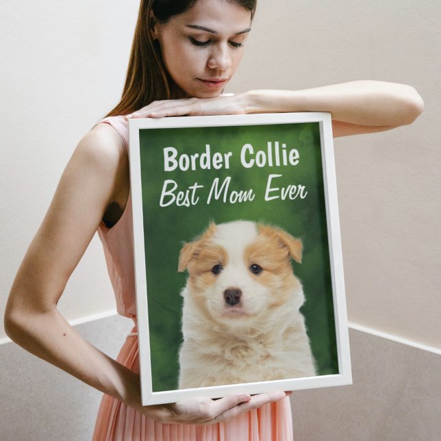 Border Collie Best Mum  Poster (Creator Uploaded)