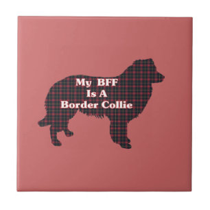 Border Collie BFF Tile