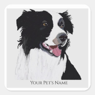 Border Collie Black and White Pet Dog- Square Sticker