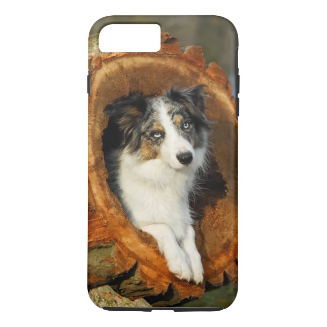 Border Collie Blue Merle Dog, Cell Phonecase Case-Mate iPhone Case (Back)