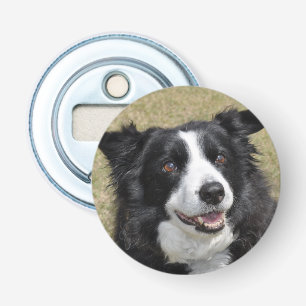 Border Collie Bottle Opener