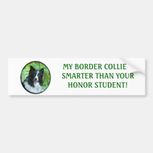 Border Collie Bumper Sticker