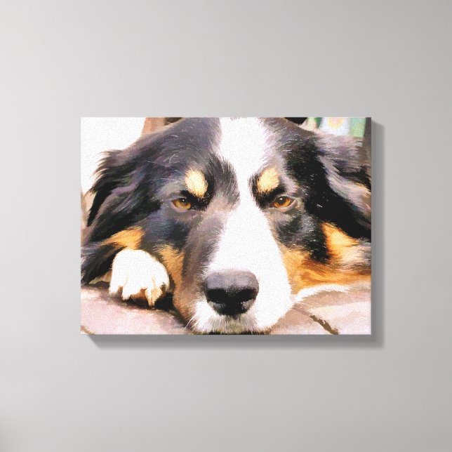 BORDER COLLIE CANVAS PRINT (Front)