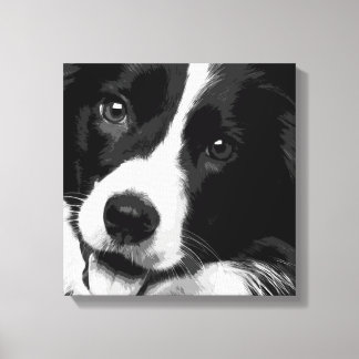 Border Collie Canvas Print