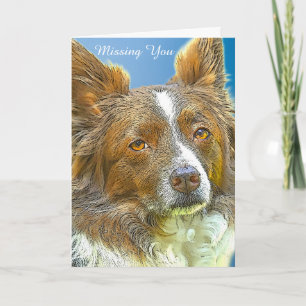 Border Collie Card