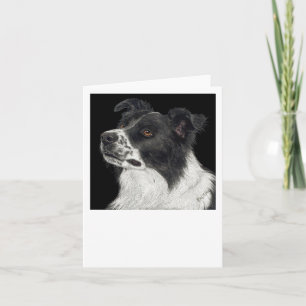 Border Collie Card - "Ben"