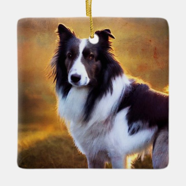 Border collie ceramic ornament (Front)