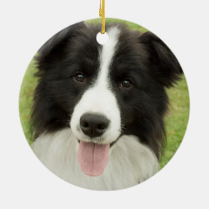 Border Collie Ceramic Tree Decoration
