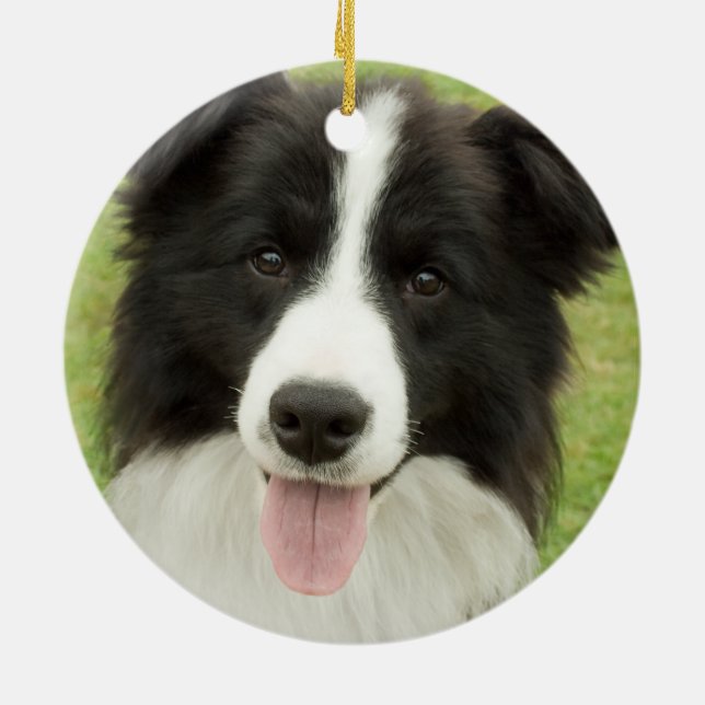 Border Collie Ceramic Tree Decoration (Back)