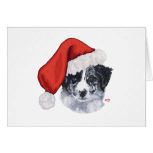 Border Collie Christmas