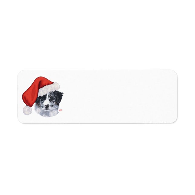 Border Collie Christmas (Front)