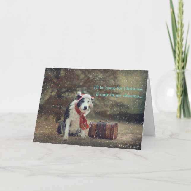 Border Collie Christmas card (Front)