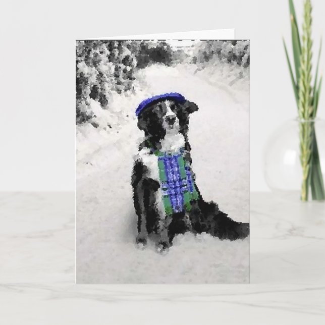 Border Collie Christmas Card (Front)