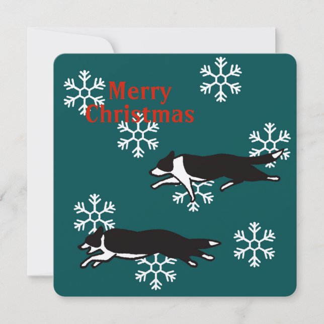 Border collie Christmas card カード (Front)