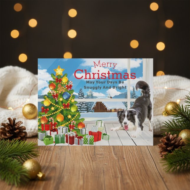 Border Collie Christmas Greeting Holiday Postcard (Border Collie Christmas Greeting Holiday Postcard)