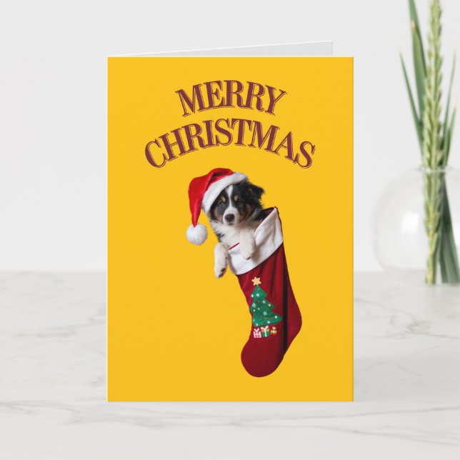 Border Collie Christmas Stocking Card (Front)