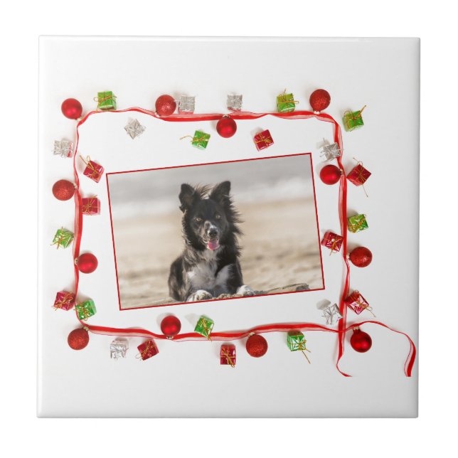 Border Collie Christmas Tile (Front)