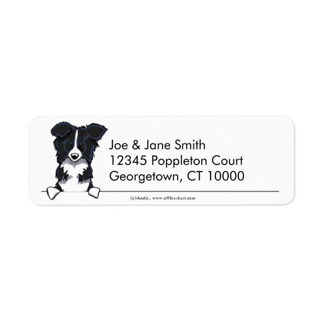 Border Collie Clean & Simple (Front)