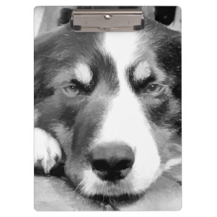 BORDER COLLIE CLIPBOARD