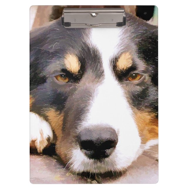 BORDER COLLIE CLIPBOARD (Front)