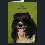 Border Collie Cool Dude Card<br><div class="desc">Border Collie Cool Dude Card,  blank inside for your own message.</div>
