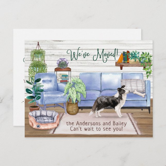Border Collie Cosy New Home Moving         Announcement Postcard (Front/Back)