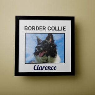 Border Collie Custom Dog Poster