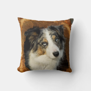 Border Collie cute dog Cushion