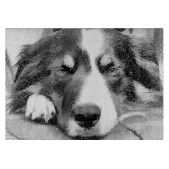 BORDER COLLIE CUTTING BOARD (Front)
