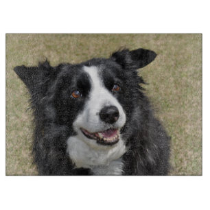 Border collie cutting board