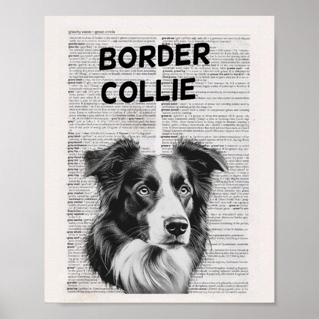 Border Collie Dictionary Page artwork Poster (Front)