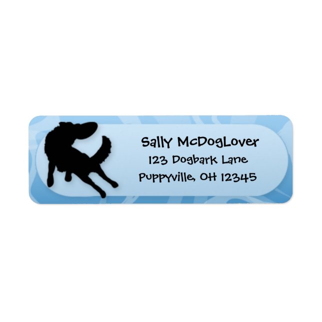 Border Collie Disc Dog (Front)