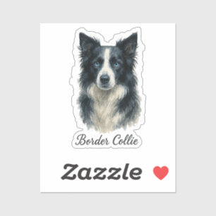 Border Collie dog