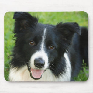 Border Collie Dog Add Text Pet Mouse Pad