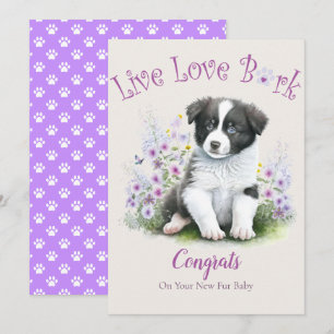 Border Collie Dog Adoption, Gotcha Day Card