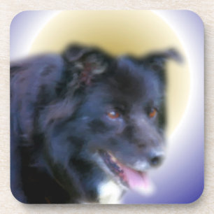 Border Collie Dog Art Coaster