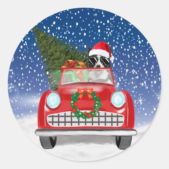 Border Collie  Dog Driving Car In Snow Christmas  Classic Round Sticker (Front)