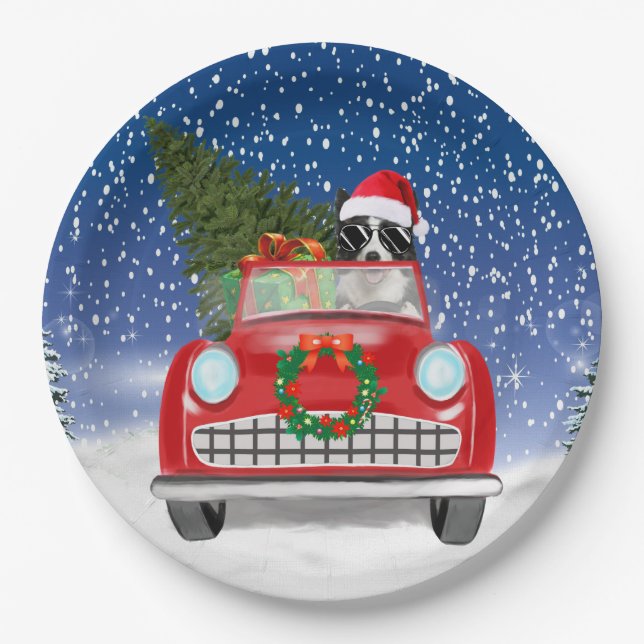 Border Collie  Dog Driving Car In Snow Christmas  Paper Plate (Front)