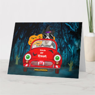 Border Collie Dog Driving Car Scary Halloween Card